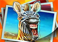 SAFARI-BBIN