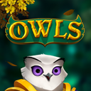 Owls-EVOLUTION