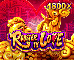 Rooster In Love-JDB
