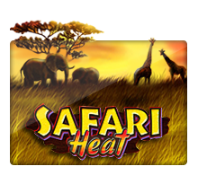 Safari Heat-Joker Gaming