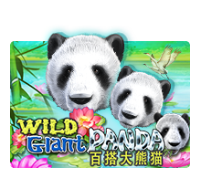Wild Giant Panda-Joker Gaming