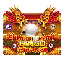 Burning Pearl Bingo-Joker Gaming