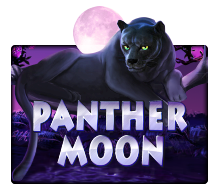 Panther Moon-Joker Gaming