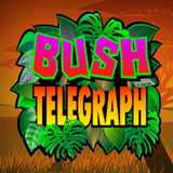 Bush Telegraph-Micro Gaming Plus