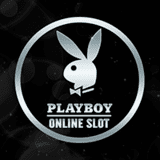 Playboy-Micro Gaming Plus