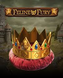 Feline Fury-Playngo