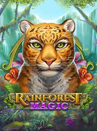 Rainforest Magic-Playngo