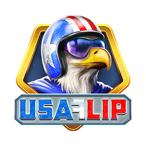 USA Flip-Playngo
