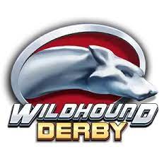 Wildhound Derby-Playngo