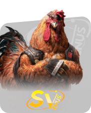 Cock Fight