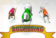 Dog Racing-Spadegaming