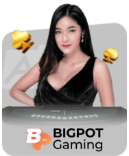 lottery-BIGPOT CARD